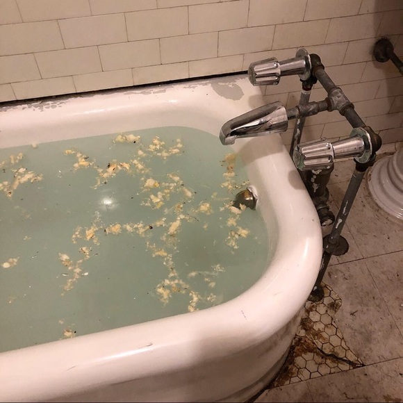 Meet your Posher, Kayla - Picture 1 of 1